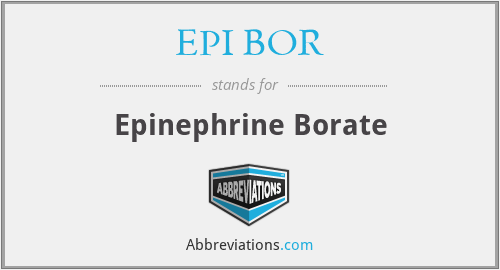 What does EPI BOR stand for?